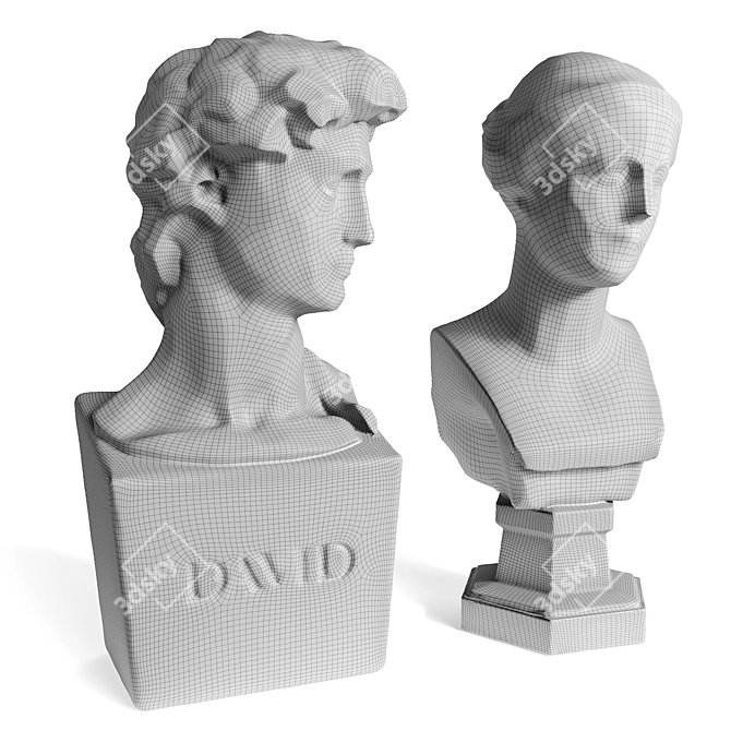 Classic Venus & David Busts 3D model image 5