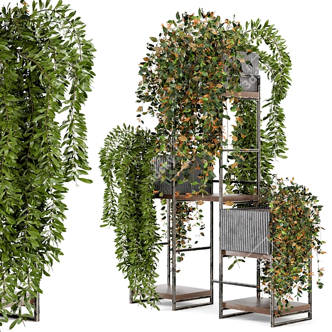  Rusty Concrete Pot Indoor Plants - Set 67 3D model image 2