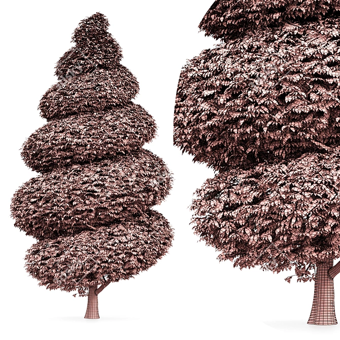 Burford Holly Spiral Topiary Tree: Stunning 3D Model 3D model image 4