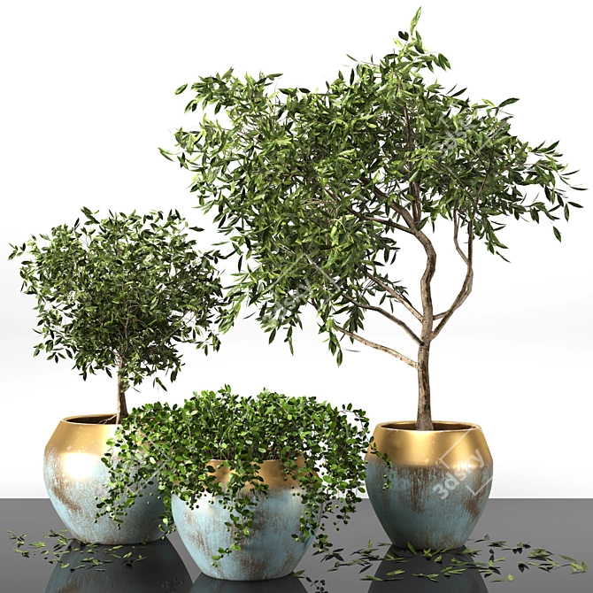 Versatile Plant Collection Pack 3D model image 1