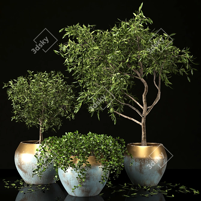 Versatile Plant Collection Pack 3D model image 2