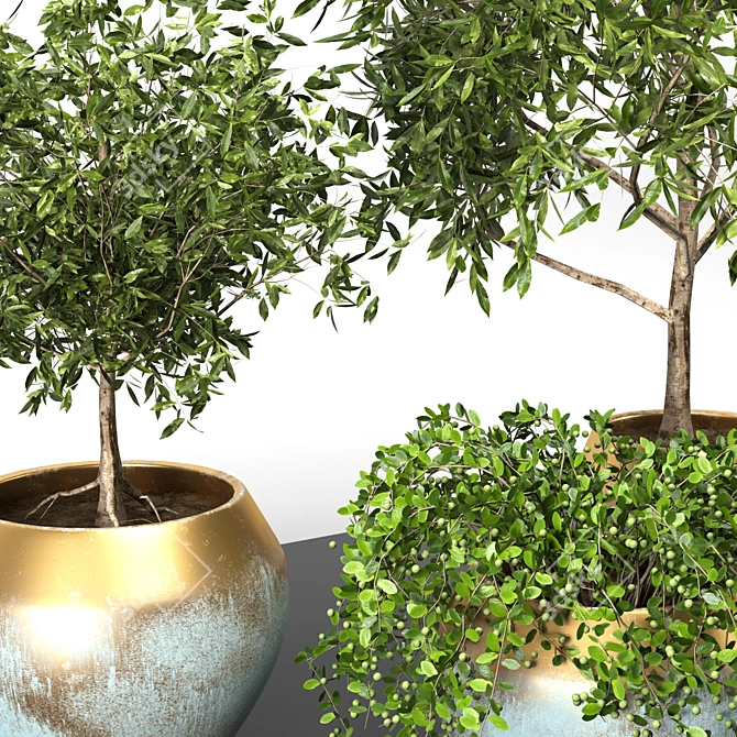 Versatile Plant Collection Pack 3D model image 3