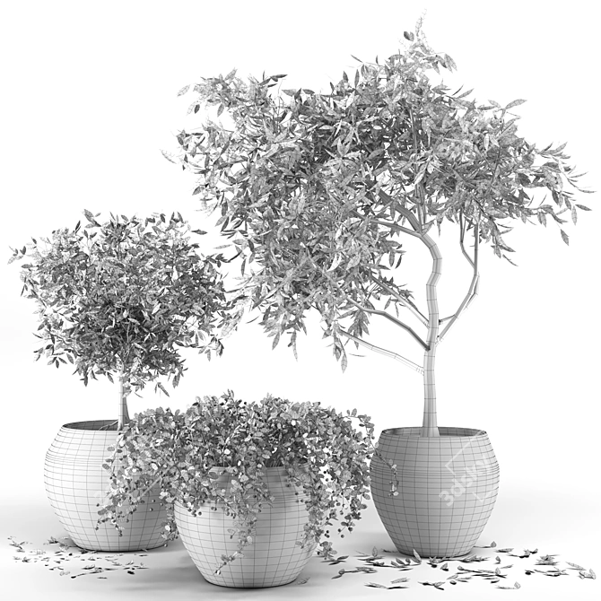 Versatile Plant Collection Pack 3D model image 5