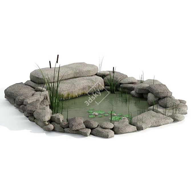 Artificial Pond with Reed and Water Lilies 3D model image 5