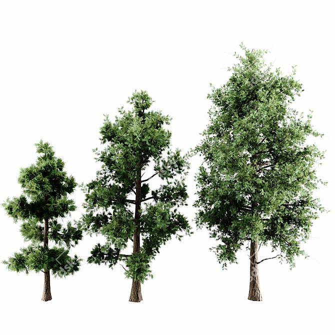 Versatile 3D Tree Pack: Multiple Heights & Textures 3D model image 1