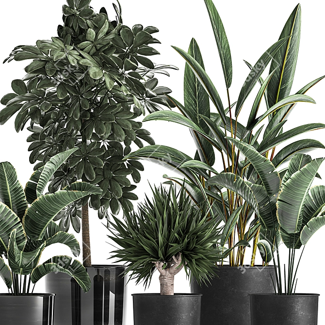 Tropical Plant Collection: Exotic, Indoor & Outdoor, in Vig Planter L Set 2pcs 3D model image 2