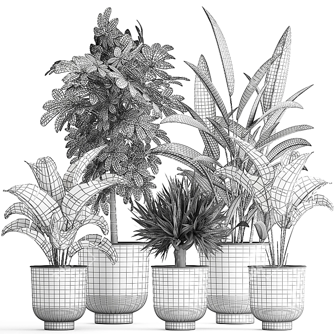 Tropical Plant Collection: Exotic, Indoor & Outdoor, in Vig Planter L Set 2pcs 3D model image 5