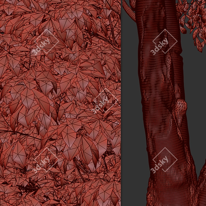 Himalayan Birch Tree Set (2 Trees) 3D model image 5