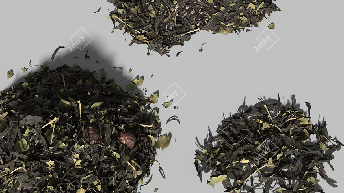 Layered Loose Leaf Tea 3D model image 4