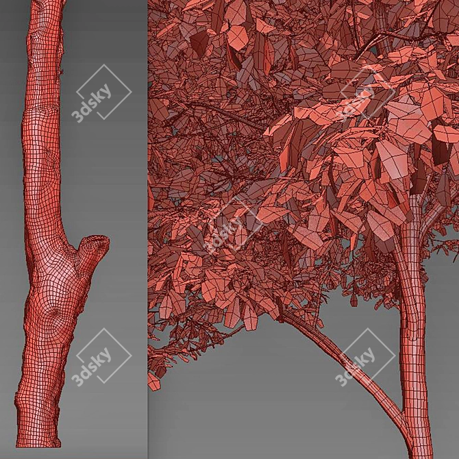 Majestic Oak Tree: Vray Material Library, 14m Height 3D model image 5