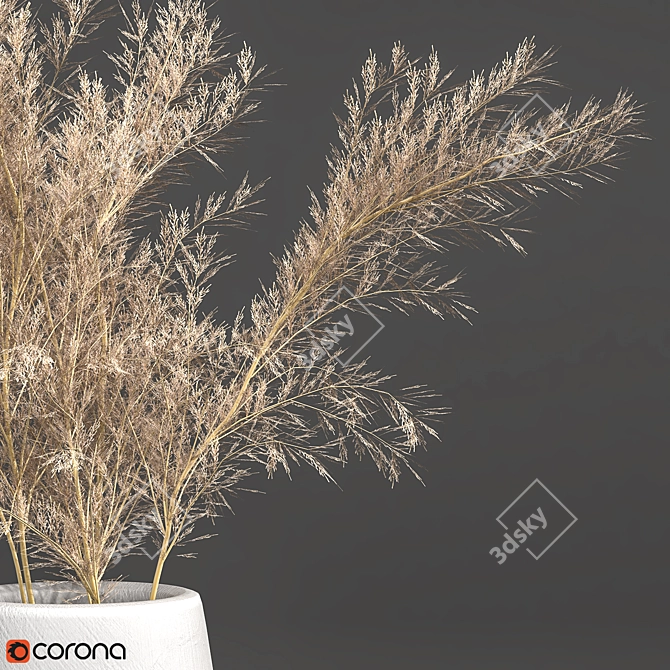 Elegant Pampas in Vase 3D model image 3