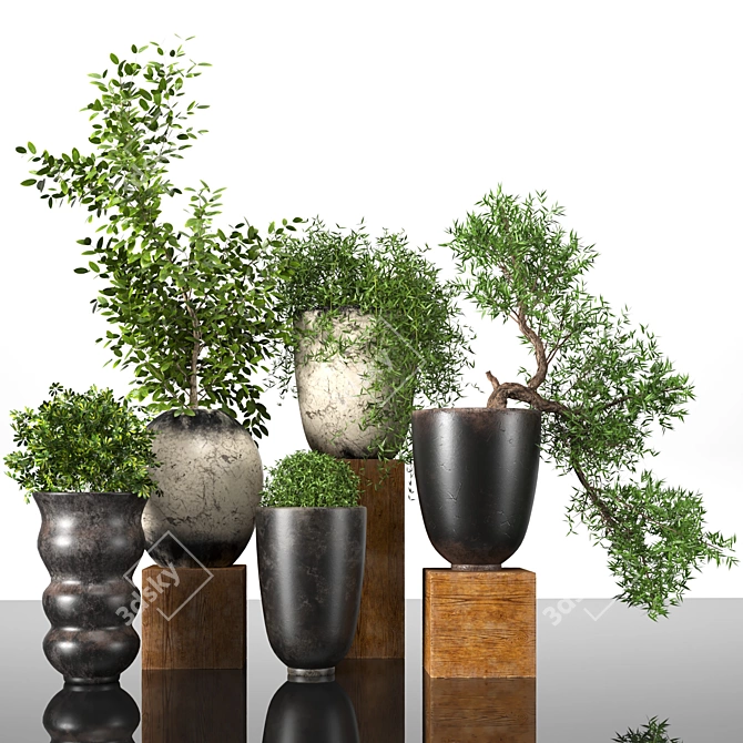 Premium Plant Collection: 3D Models for 3dsMax 3D model image 1