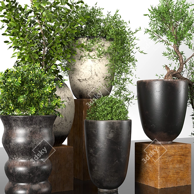 Premium Plant Collection: 3D Models for 3dsMax 3D model image 2