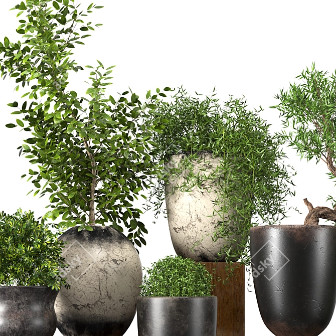 Premium Plant Collection: 3D Models for 3dsMax 3D model image 3