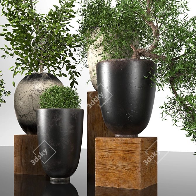 Premium Plant Collection: 3D Models for 3dsMax 3D model image 4