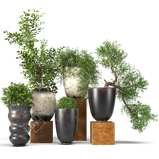 Premium Plant Collection: 3D Models for 3dsMax 3D model image 6