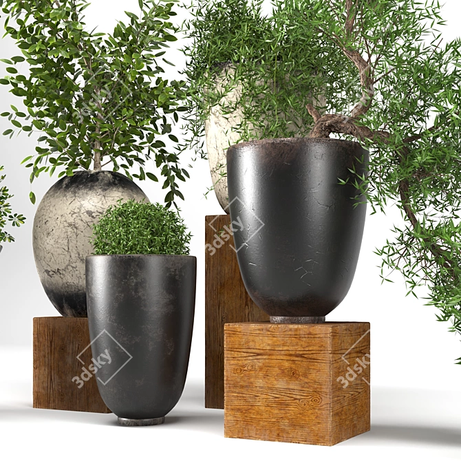 Premium Plant Collection: 3D Models for 3dsMax 3D model image 7