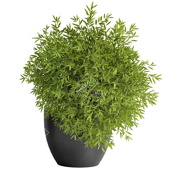 Outdoor Plant 11: Realistic 3D Model 3D model image 3