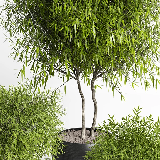 Outdoor Plant 11: Realistic 3D Model 3D model image 4