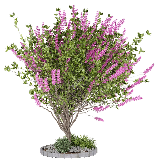  Vol. 107 Plant Collection+: High Quality, Lightweight 3D model image 1