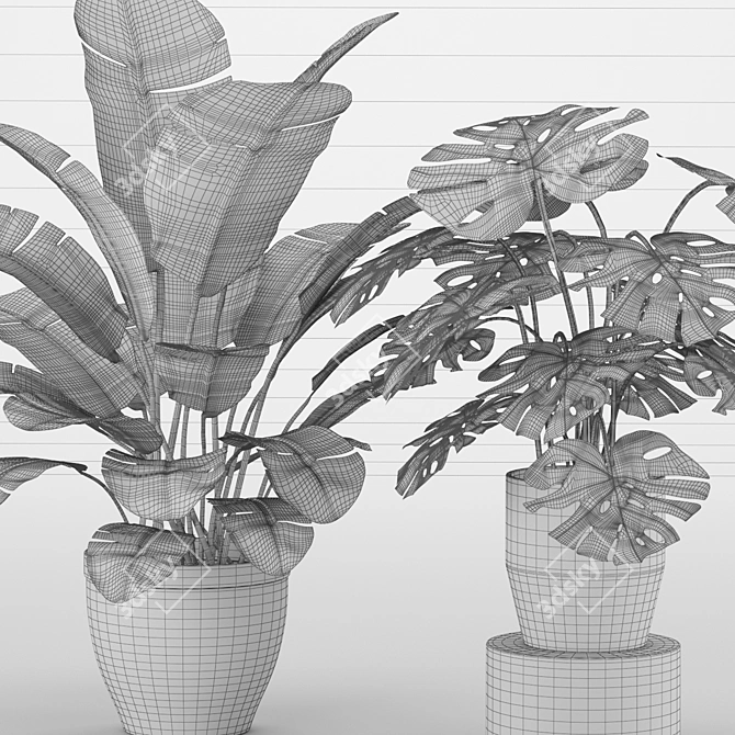 Green Oasis: 5-Plant Collection 3D model image 3