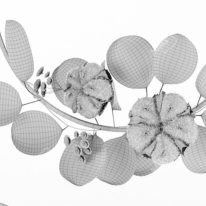 Elegant Wall Wreath Decor 3D model image 4