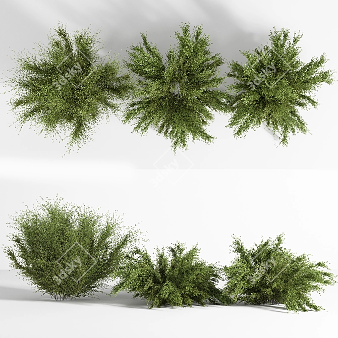 Versatile Bush_01: 2015 Preview, Vray/Corona, Centimeters 3D model image 2