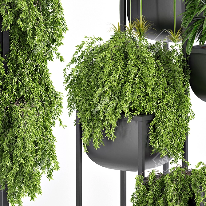 Ultimate Indoor Plant Set 3D model image 2