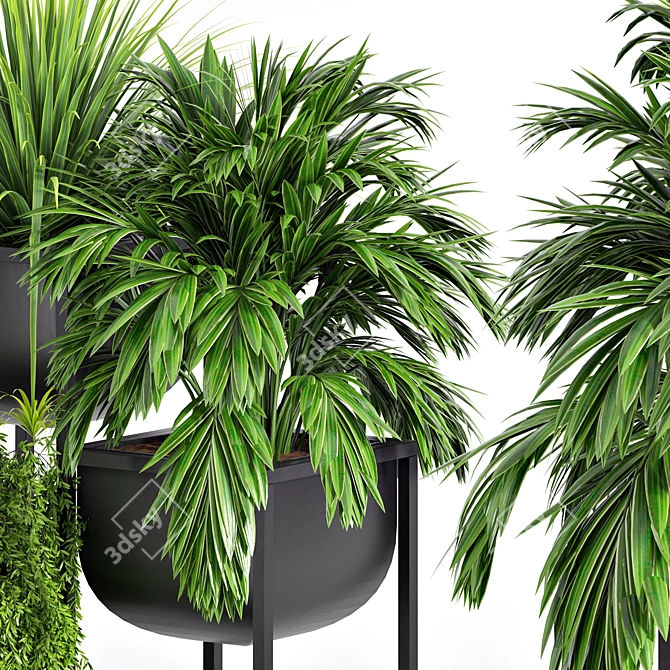 Ultimate Indoor Plant Set 3D model image 3