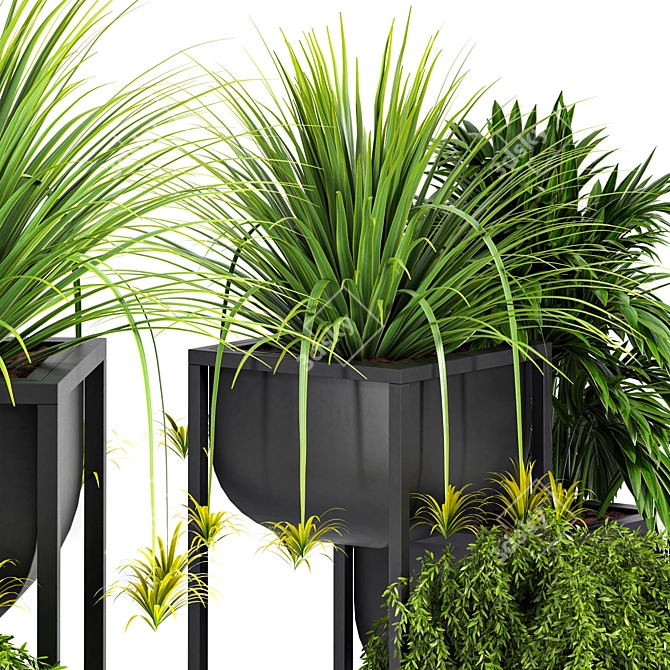 Ultimate Indoor Plant Set 3D model image 4