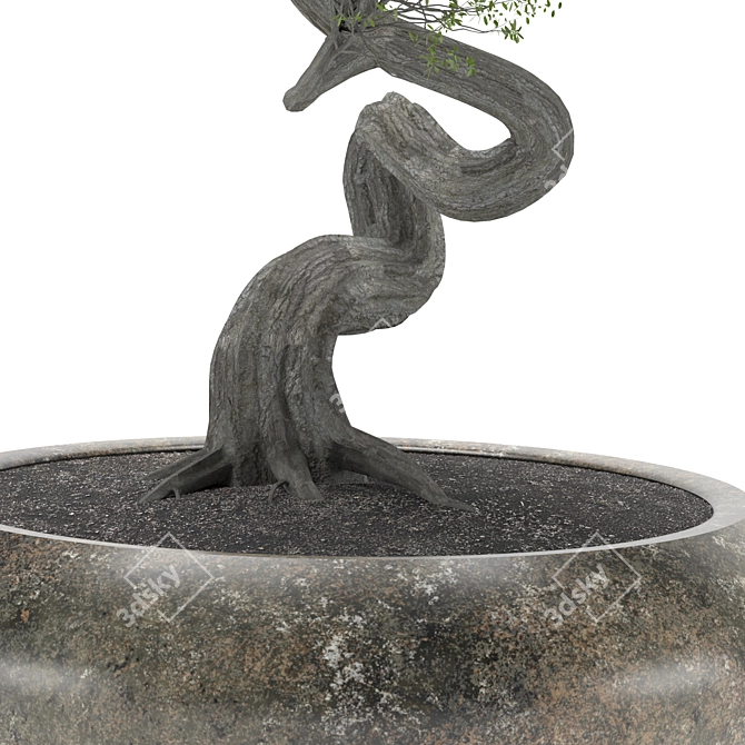 2015 Bonsai Tree Sculpture 3D model image 4