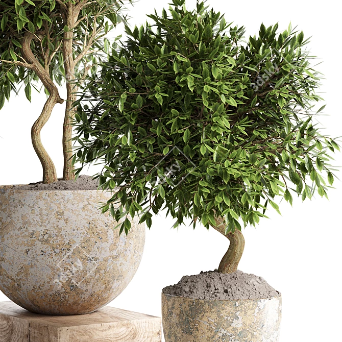 Concrete Pot Outdoor Plant 3D model image 4