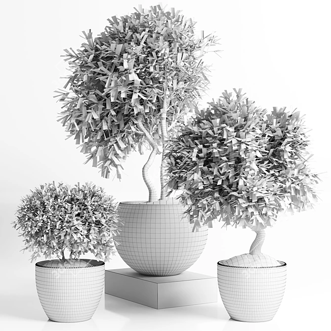 Concrete Pot Outdoor Plant 3D model image 5