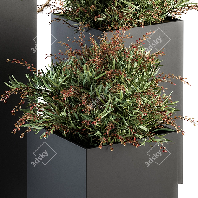 Lush Photinia: Indoor Plant Set 3D model image 2