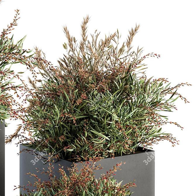 Lush Photinia: Indoor Plant Set 3D model image 3