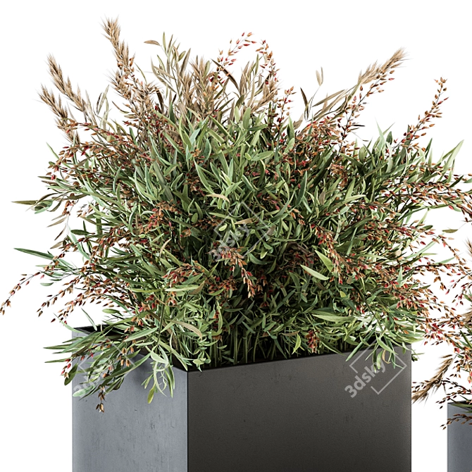 Lush Photinia: Indoor Plant Set 3D model image 4