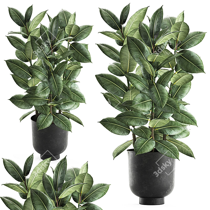 Exotic Jungle: Vig Planter, Set of 2 - Tropical Plants 3D model image 1