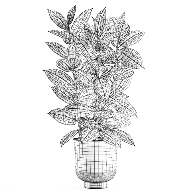 Exotic Jungle: Vig Planter, Set of 2 - Tropical Plants 3D model image 5