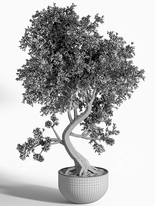 Breathtaking Bonsai: Plant_bonsai_01 3D model image 3