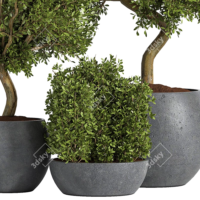 Large Outdoor Tree Plant 01 3D model image 2