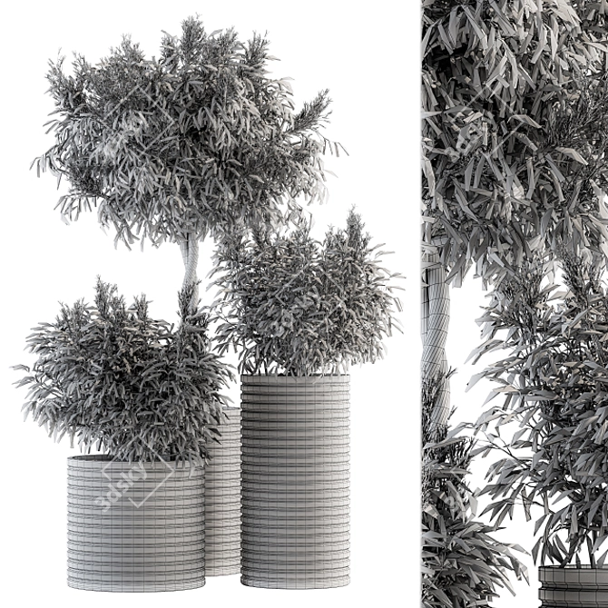 Lush Lavender Tree Trio: Outdoor Plant Set 3D model image 1