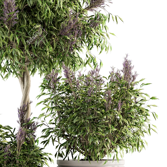Lush Lavender Tree Trio: Outdoor Plant Set 3D model image 4