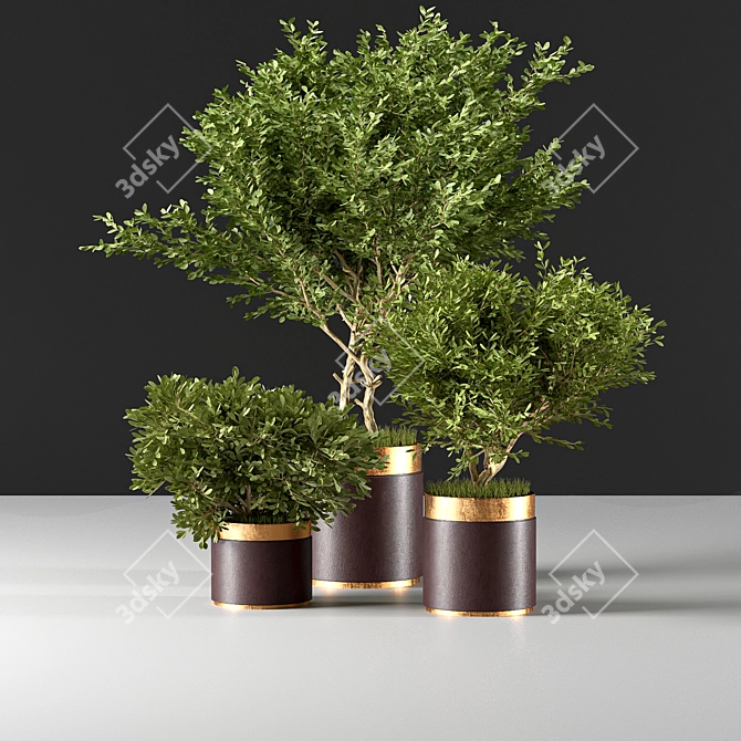 Modern Indoor007 Plant Décor 3D model image 4