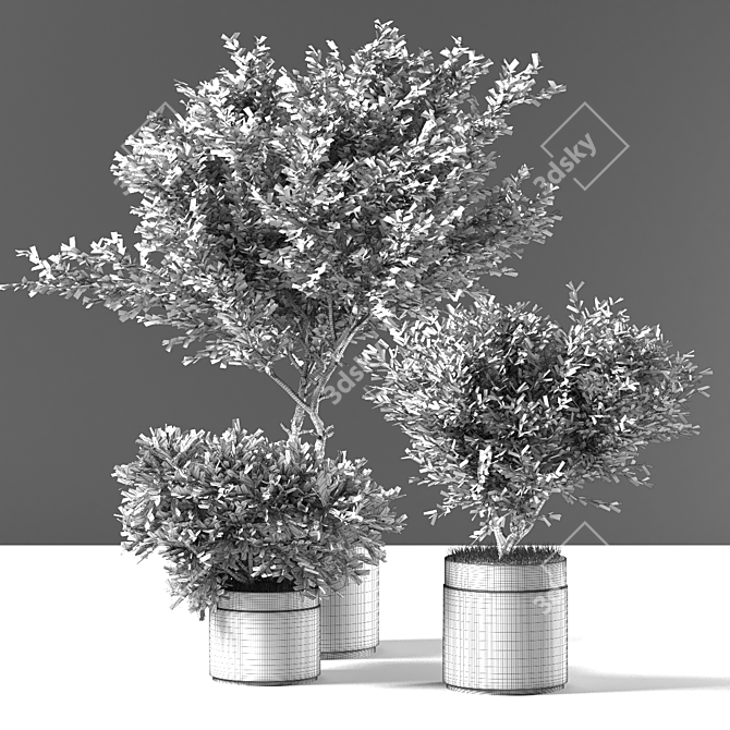 Modern Indoor007 Plant Décor 3D model image 5