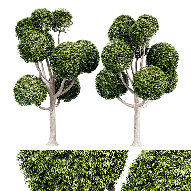 Elegant Decorative Tree: 5m Height 3D model image 1