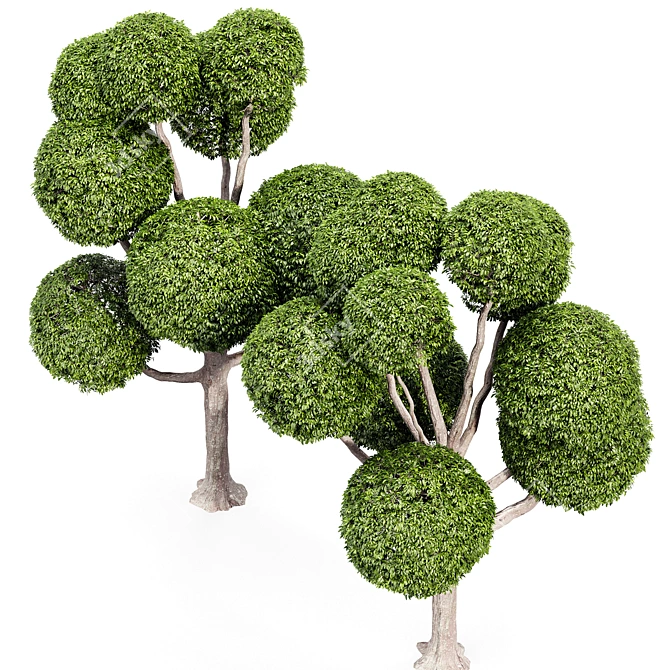 Elegant Decorative Tree: 5m Height 3D model image 4