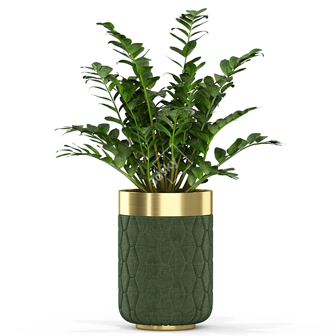 Evergreen Plant Set - 453 3D model image 3