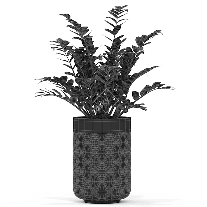 Evergreen Plant Set - 453 3D model image 5