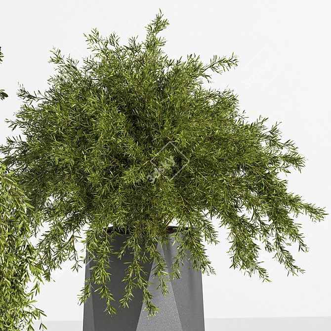 Multi-Part Indoor Plant Set 3D model image 3