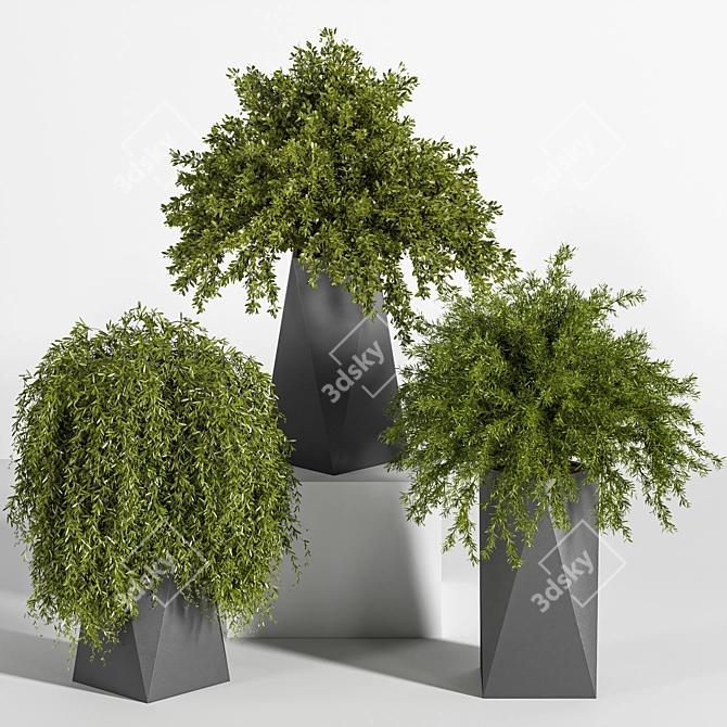 Multi-Part Indoor Plant Set 3D model image 6